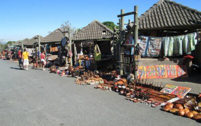 6 Exciting Reasons Your Hazyview Transfer Is the Start of Your Safari Adventure