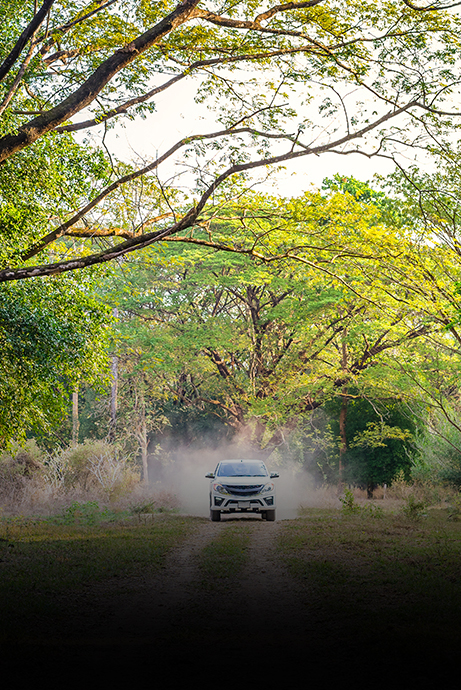 Airport transfers Johannesburg to Mpumalanga Airport transfers Johannesburg to Mpumalanga