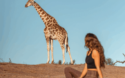 Eco Friendly Safari Travel Tips for Kruger National Park