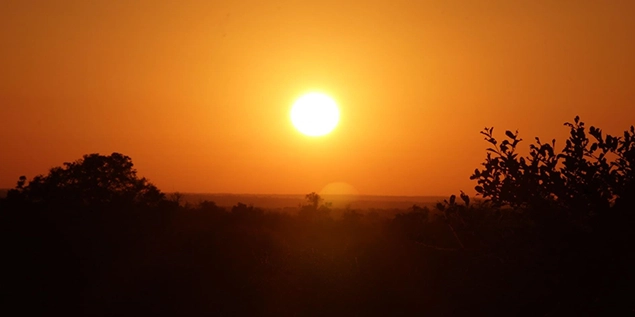Kruger Night safari scenery