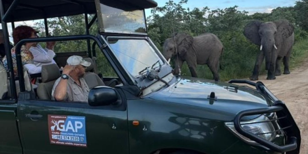 Elephants seen by clients on Kruger National Park safari