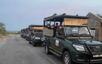 Best Times for a Kruger Safari: Why Dry Season Delivers