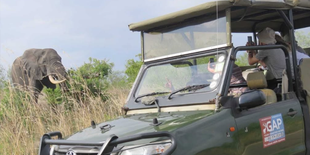 Open Safari vehicle seeing an elephant in Kruger National Park 